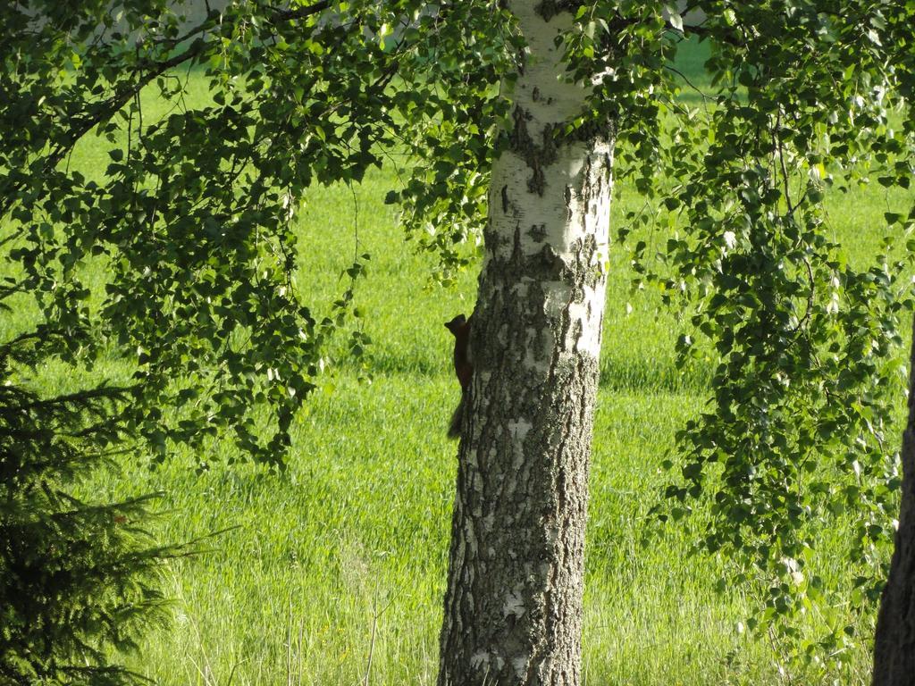 Kalliomajat Ylivalli Eksteriør bilde